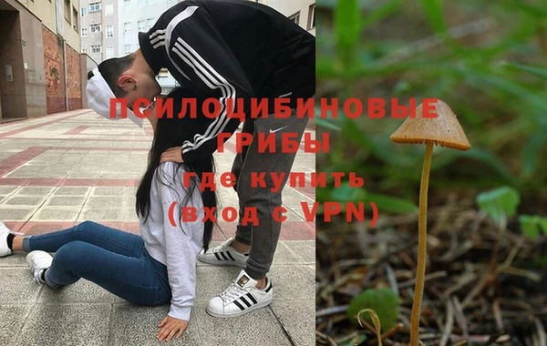 наркотики Новодвинск