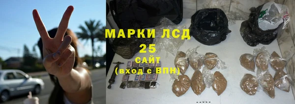 соль ск Новозыбков