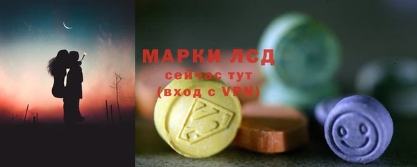 соль ск Новозыбков