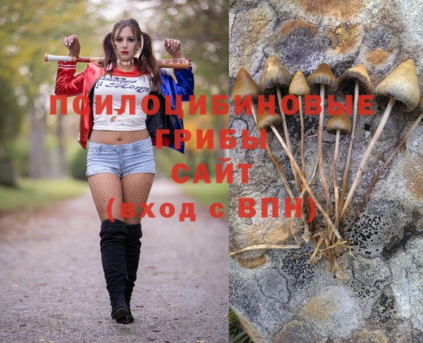 соль ск Новозыбков