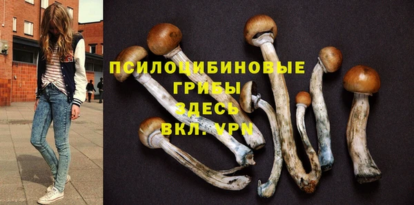 спиды Новокубанск