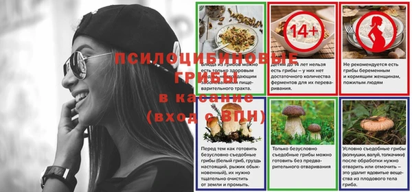 соль ск Новозыбков