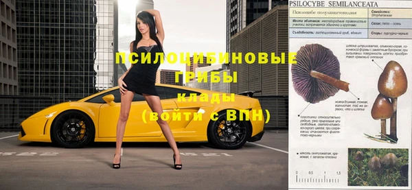 спиды Новокубанск