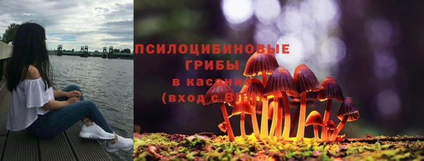 ALPHA PVP Рославль