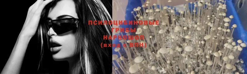 блэк спрут ONION  Раменское  Галлюциногенные грибы мицелий 