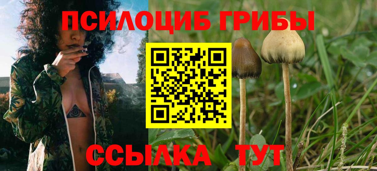 Псилоцибиновые грибы ЛСД  Галлюциногенные грибы прущие грибы  Раменское  Вход с VPN 